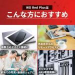 Western Digital WD Red Plus Internal Hard Drive 6 TB CMR 3.5 Inch SATA 5400 rpm 256 MB NAS (Amazon.co.jp Limited)
