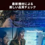 Western Digital WD Red Plus Internal Hard Drive 6 TB CMR 3.5 Inch SATA 5400 rpm 256 MB NAS (Amazon.co.jp Limited)