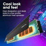 Crucial Pro 32GB DDR4-3200 Memory Kit