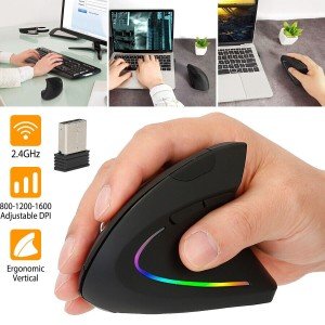 Wireless Ergonomic Vertical Mouse with 6 Keys
