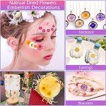 140 Pcs Dried Pressed Flowers for DIY Crafts