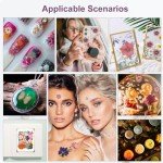 75Pcs Dried Flowers and Butterflies for DIY Crafts