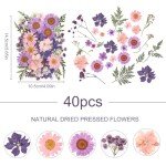 40Pcs Dried Pressed Flowers for DIY Crafts