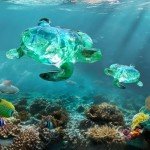 Turtle Shape Resin Molds for DIY Crafts