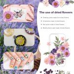 40Pcs Dried Pressed Flowers for DIY Crafts