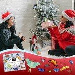 Realistic Butterfly Moths Kit for Resin Crafts