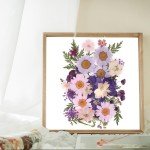 40Pcs Dried Pressed Flowers for DIY Crafts