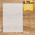 LEOBRO Large Clear Silicone Craft Mat 23.4"x15.6