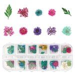 Dried Flowers for Resin Crafts - 4 Boxes