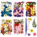 174 Pcs Dried Pressed Flowers for DIY Crafts