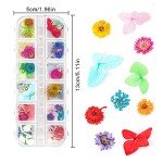 Dried Flowers for Resin Crafts - 4 Boxes
