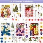 174 Pcs Dried Pressed Flowers for DIY Crafts