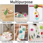 Dried Flowers for Resin Crafts - 4 Boxes
