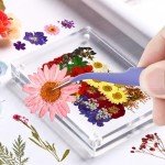 174 Pcs Dried Pressed Flowers for DIY Crafts