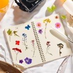 174 Pcs Dried Pressed Flowers for DIY Crafts