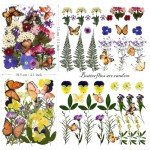 99-Piece Dried Flowers and Butterfly Set for DIY