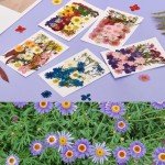 174 Pcs Dried Pressed Flowers for DIY Crafts