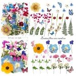 99-Piece Dried Flowers and Butterfly Set for DIY