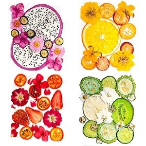 Dried Pressed Flowers and Fruits Art Set