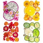 Dried Pressed Flowers and Fruits Art Set