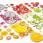 Dried Pressed Flowers and Fruits Art Set