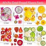 Dried Pressed Flowers and Fruits Art Set