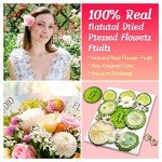 Dried Pressed Flowers and Fruits Art Set