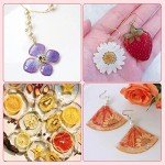 Dried Pressed Flowers and Fruits Art Set