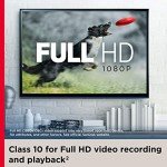 SanDisk 32GB Ultra microSDHC Memory Card Duo