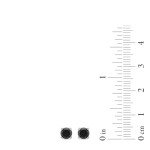10K White Gold Black Diamond Stud Earrings