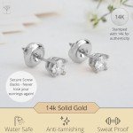 Lab Grown Diamond Stud Earrings in 14k White Gold