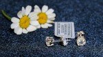 0.5 Carat Lab Grown Diamond Stud Earrings in 14k White Gold