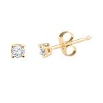 Diamond Stud Earrings in 10kt Yellow Gold