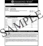 1 Carat Lab Grown Diamond Round Stud Earrings