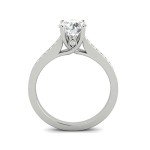 1/2ctw Diamond Engagement Ring in 10k White Gold