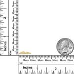 10K Yellow Gold Baby Script Ring, Size 3