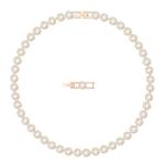 Swarovski Angelic Choker Necklace in Rose Gold
