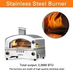 Portable Gas Pizza Oven with 13-inch Stone