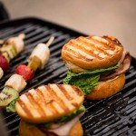 Weber Q1200 Blue Liquid Propane BBQ Grill