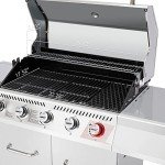 Royal Gourmet 5-Burner Propane Gas Grill with Side Burner