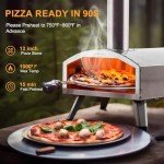 PolarcoForgeco 12-Inch Outdoor Pizza Oven