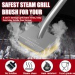 Bristle-Free Steam Grill Brush with Replaceable Head