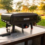 Blackstone 2238 Portable Pizza Oven