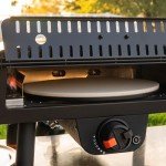 Blackstone 2238 Portable Pizza Oven