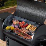 KingChii Portable Electric Wood Pellet Grill & Smoker