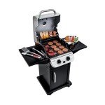 2-Burner Propane Grill with Grease Tray & Gauge