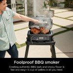 Ninja Woodfire Pro XL 4-in-1 Grill & Smoker