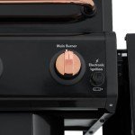 Kenmore 3-Burner Gas Grill with Side Tables