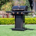 Kenmore 3-Burner Gas Grill with Side Tables