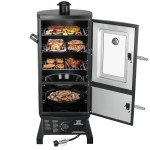 Vertical Propane Smoker with Temperature Control and Cover
